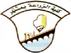 The governor and the University president hosts 262 Egyptians who come back home from UAE in the University hostels at Moshtohor